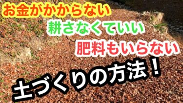 雑草ブーメラン 雑草を活用して土作り 野菜や花など農作物に良い土の作り方 なんでもdiy教室 リフォーム 家具 農園 キャンプ